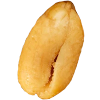Peanut