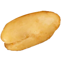 Peanut