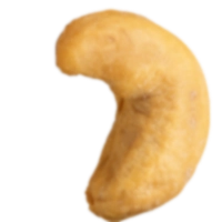 Cashew